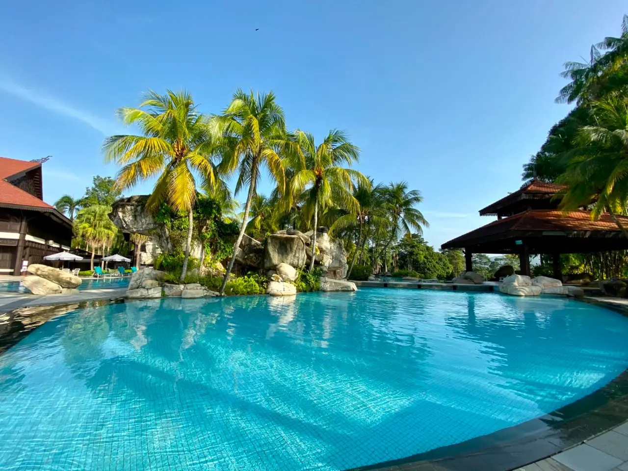 Free-form resort pool with palm trees and waterfall rocks