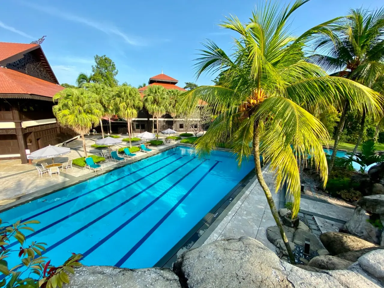 Lap pool surrounded by palm trees at Pulai Springs Resort
