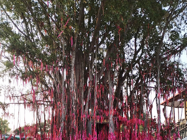 Foto ulasan pasien